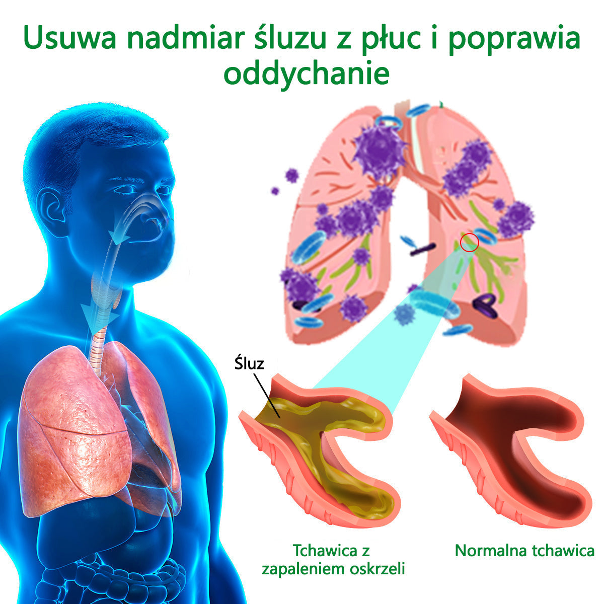 [Noworoczna oferta specjalna] Lercea™ Krem regenerujący płuca z dziewanny - zatwierdzony przez British Thoracic Society w celu wspierania zdrowia płuc👑👑